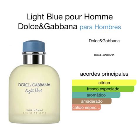 notas del perfume dolce gabbana light blue|Dolce & Gabbana light blue sizes.